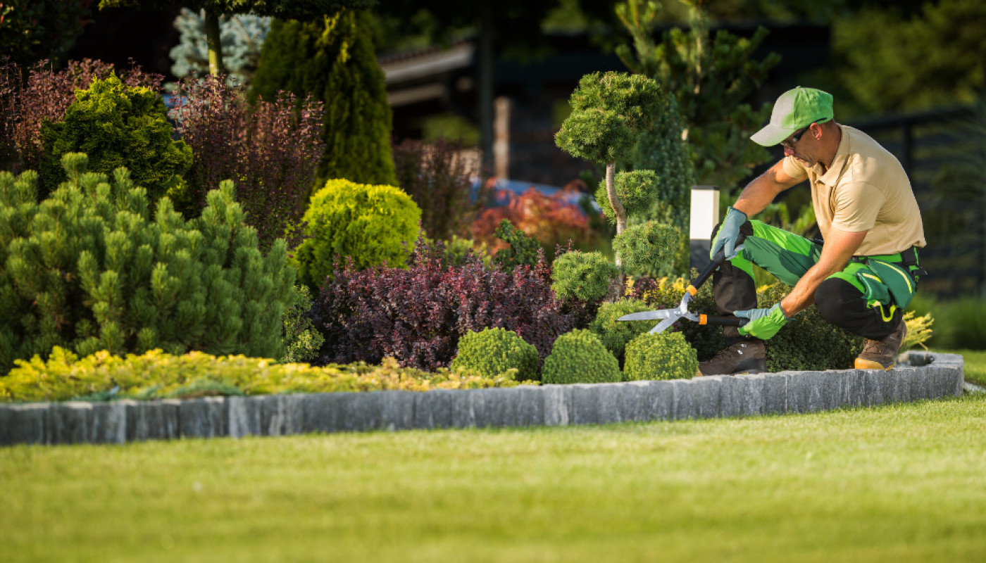 Jardin - Qui est le meilleur paysagiste aux services éco responsables au Mans ?